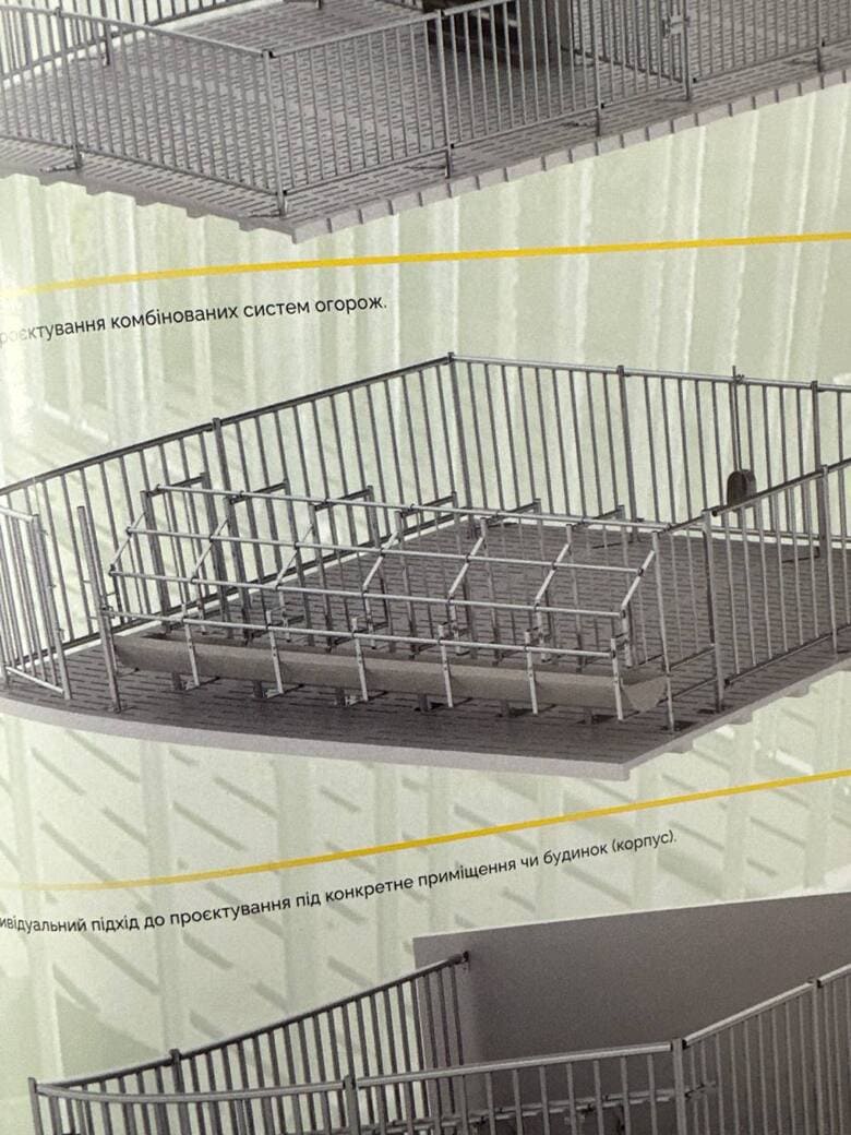 Верстати для групового утримання свиней